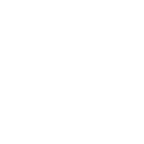 CrowdHealth Logo Icon