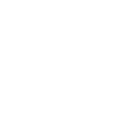 Google Logo Icon