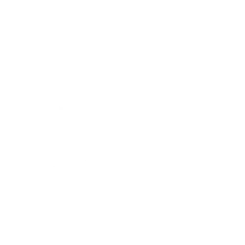 Twitter Logo Icon